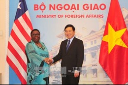 Phó Thủ tướng Phạm Bình Minh hội đàm với Bộ trưởng Ngoại giao Liberia 