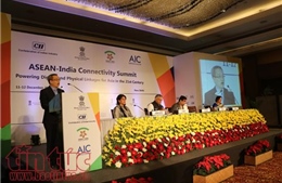 Đoàn Việt Nam tham dự Hội nghị cấp cao kết nối ASEAN - Ấn Độ tại New Delhi