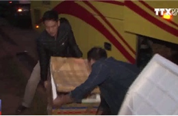 Đắk Lắk bắt giữ xe khách vận chuyển hàng trăm kg thịt không rõ nguồn gốc