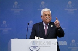 Palestine tìm kiếm quy chế thành viên đầy đủ của Liên hợp quốc 