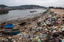 Góp ý kiến cho Báo cáo hiện trạng môi trường quốc gia về quản lý chất thải