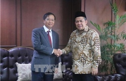Phó Chủ tịch Hội đồng đại diện nhân dân Indonesia coi trọng quan hệ hợp tác với Việt Nam