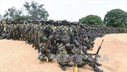Quân đội Nigeria đẩy mạnh các chiến dịch truy quét phiến quân