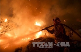 Bang California tiếp tục sơ tán người dân do cháy rừng 