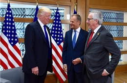 2017 - Năm nhiều biến động trong quan hệ EU-Mỹ 