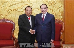 Tổng Bí thư, Chủ tịch nước Lào thăm nguyên Tổng Bí thư Lê Khả Phiêu và nguyên Tổng Bí thư Nông Đức Mạnh 