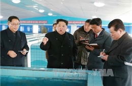 Triều Tiên bác tin phát triển vũ khí sinh học