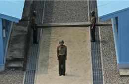 Lính Triều Tiên vượt hàng rào canh gác, đào tẩu sang Hàn Quốc 