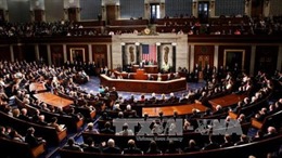 Quốc hội Mỹ thông qua ngân sách thêm 1 tháng cho chính phủ