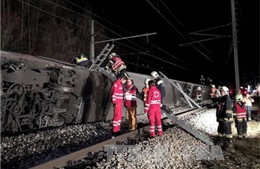 Áo: Tai nạn đường sắt nghiêm trọng khiến nhiều người bị thương