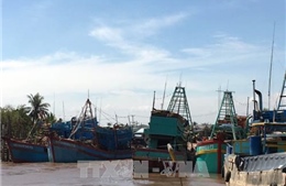 Bình Thuận cấm tàu ra biển từ 16 giờ ngày 23/12 