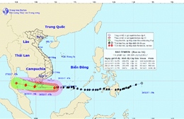 Từ trưa 25/12, bão số 16 gây mưa to, gió giật cấp 13 ở vùng biển phía Nam