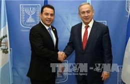 Israel và Palestine phản ứng trái chiều quanh quyết định của Guatemala