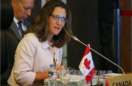 Canada và Venezuela trục xuất đại biện lâm thời của nhau