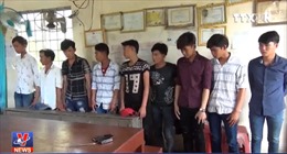 Khởi tố bắt giam 9 đối tượng hủy hoại và trộm cắp tài sản tại Vườn U Minh Thượng
