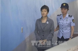 Báo cáo điều tra mới về cựu Tổng thống Park Geun-hye 