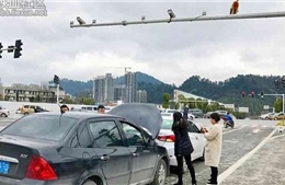 Nhìn nhầm khỉ mông đỏ thành đèn giao thông, một phụ nữ gây tai nạn