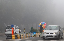  Ấn Độ: Chuyên gia cảnh báo ô nhiễm không khí tại New Dehli lên mức nguy hiểm