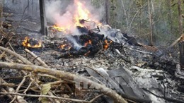 Bước đầu xác định nguyên nhân vụ tai nạn máy bay ở Costa Rica 