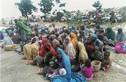 700 con tin tự trốn thoát khỏi cầm tù của Boko Haram