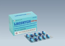 Bộ Y tế truy nguồn gốc thuốc kháng sinh Lincomycin giả