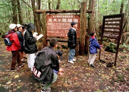 Khu rừng tự sát rợn tóc gáy ở Nhật Bản