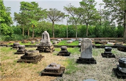  Khai quật mộ cổ tại Khu di tích quốc gia đặc biệt nhà Trần 