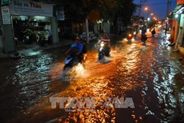 TP Hồ Chí Minh: Cần giải pháp hiệu quả cho vấn đề ngập nước do triều cường