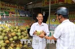 Bến Tre lên tiếng về thông tin dừa tươi bị bơm hóa chất tạo ngọt