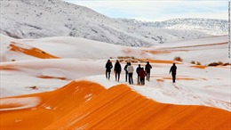 Ngắm sa mạc đỏ Sahara phủ trắng tuyết
