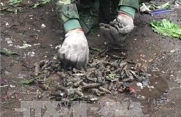 Phát hiện khoảng 2 tấn đầu đạn tại huyện Khoái Châu, Hưng Yên 
