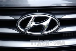 Hyundai cân nhắc xây nhà máy ô tô tại Việt Nam hoặc Indonesia