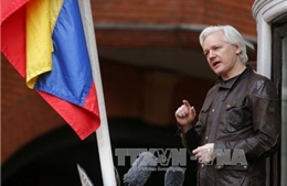 Ecuador cho phép nhà sáng lập WikiLeaks nhập quốc tịch 