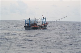 Ngược sóng dữ trên 3m, cứu nạn tàu cá và 10 thuyền viên gặp sự cố trên biển 