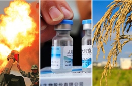 Đoán ưu tiên của Trung Quốc qua giải thưởng khoa học