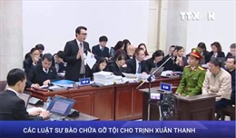 Các luật sư bào chữa gỡ tội cho Trịnh Xuân Thanh