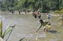 Điện Biên: Vỡ bể chất thải của nhà máy tinh bột sắn, suối Nậm Núa ô nhiễm nghiêm trọng 