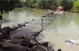 Video cá sấu hung hăng cướp chiến lợi phẩm của người câu cá