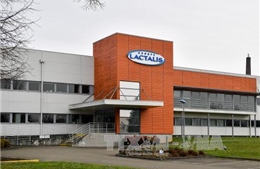 Pháp khám xét văn phòng của hãng Lactalis sau bê bối sữa nhiễm khuẩn 