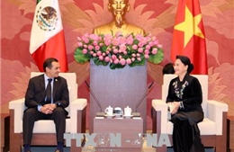 Chủ tịch Quốc hội Nguyễn Thị Kim Ngân tiếp Chủ tịch Thượng viện Mexico