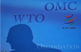 WTO đặt hạn chót cho Mỹ điều chỉnh biện pháp chống bán phá giá