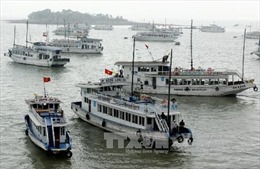 Quảng Ninh kiên quyết đình chỉ tàu du lịch vi phạm trên vịnh Hạ Long