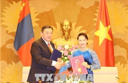 Chủ tịch Quốc hội Nguyễn Thị Kim Ngân hội đàm với Chủ tịch Quốc hội Mông Cổ 