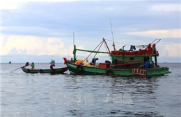Kiên Giang: Tái diễn nạn khai thác các bãi nuôi sò trái phép 