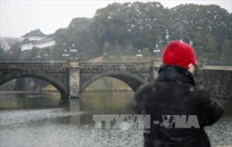Nhật Bản: Tuyết rơi dày tại Tokyo, 16 người bị thương 