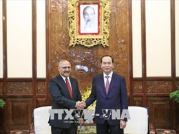 Chủ tịch nước Trần Đại Quang tiếp Đại sứ Ai Cập tại Việt Nam chào kết thúc nhiệm kỳ 