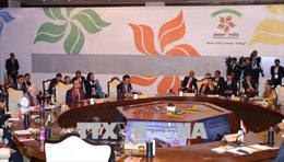 Tuyên bố Delhi của Hội nghị Cấp cao kỷ niệm 25 năm thiết lập quan hệ Đối tác đối thoại ASEAN - Ấn Độ 