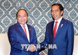Thủ tướng Nguyễn Xuân Phúc hội đàm với Thủ tướng Campuchia và Tổng thống Indonesia