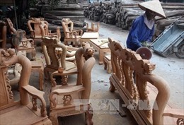  Doanh nghiệp gỗ Việt Nam chưa &#39;mặn mà&#39; với thị trường nội địa