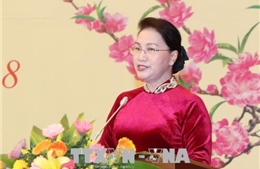 Chủ tịch Quốc hội gặp gỡ các cơ quan thông tấn báo chí nhân dịp Xuân Mậu Tuất 2018